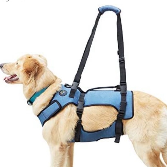 coodeo Dog Coodeo Dog Lift Harness Nwot Poshmark